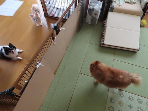 011.jpg
