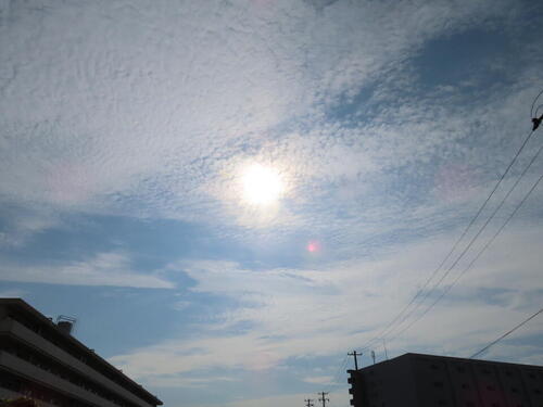 IMG_5714.jpg